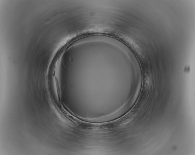 X0000097620678200803142003