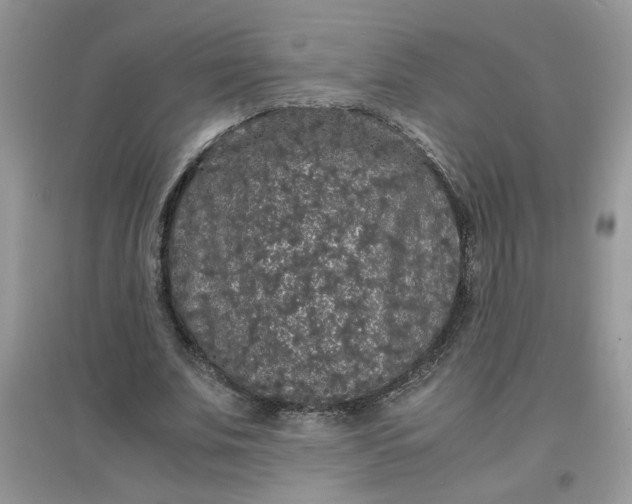 X0000097620679200803142003
