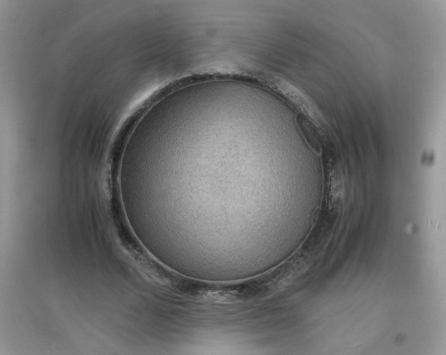 X0000097620680200803142003