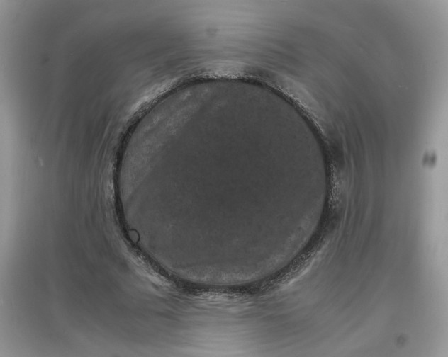 X0000097620681200803142002