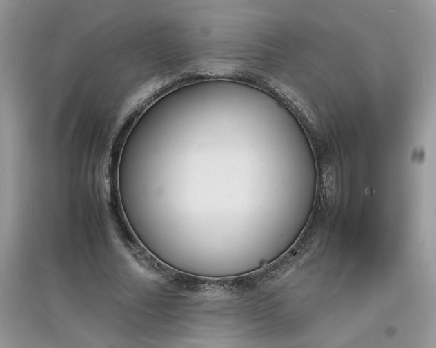 X0000097620682200803142002
