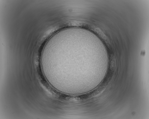 X0000097620683200803142002