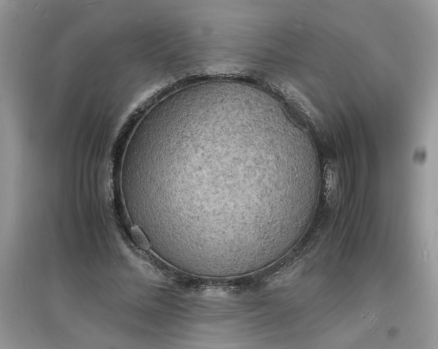 X0000097620684200803142002