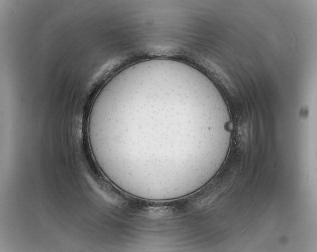 X0000097620686200803142002