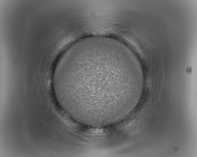 X0000097620687200803142002