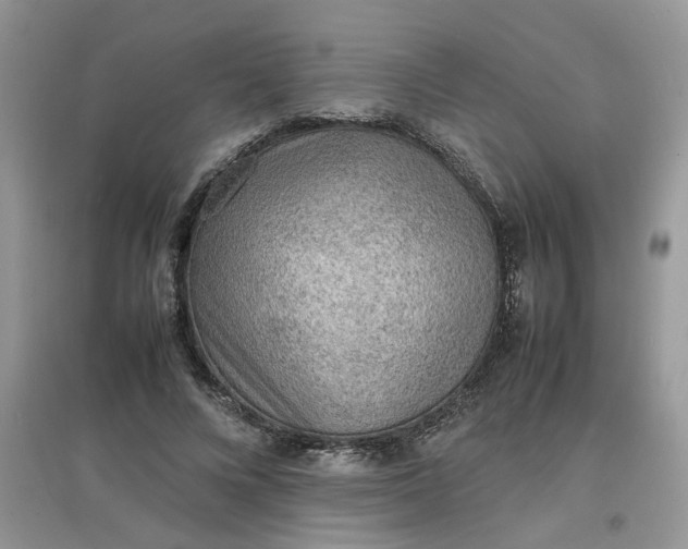 X0000097620688200803142002