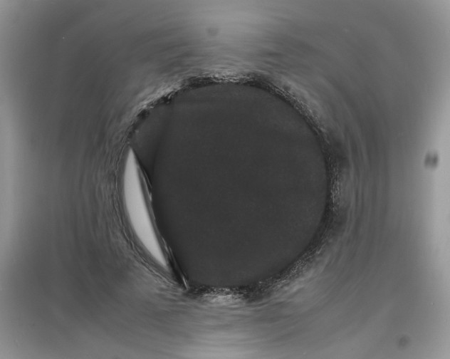 X0000097620689200803142002