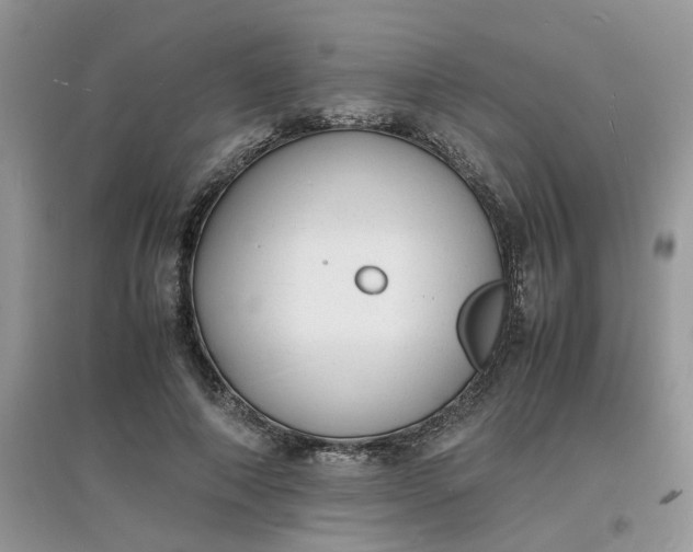 X0000097620690200803142002