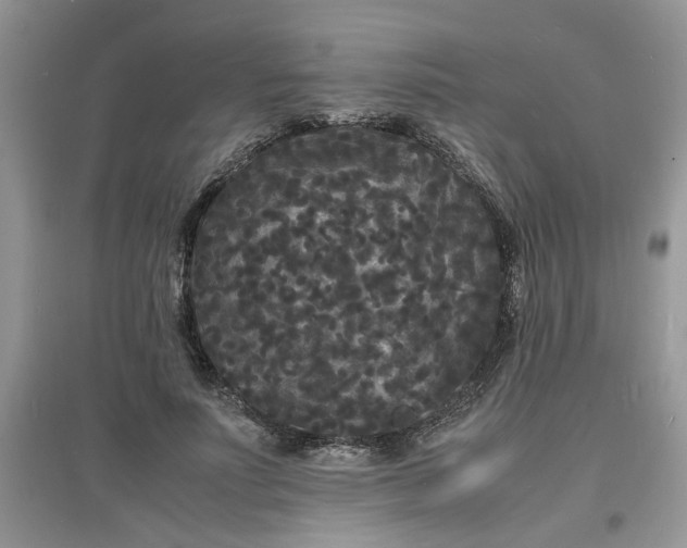 X0000097620691200803142002