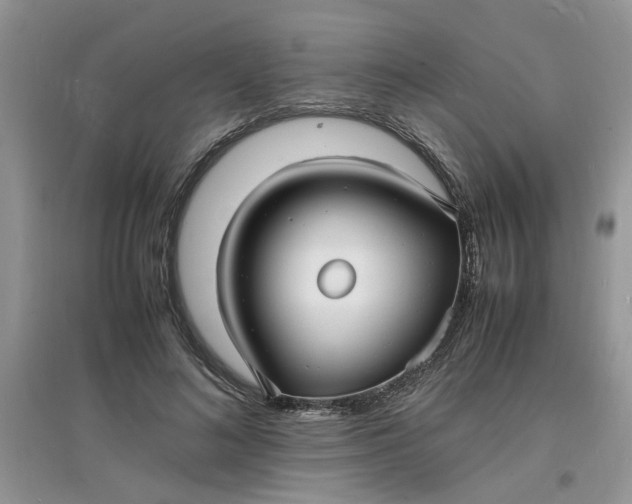 X0000097620692200803142002