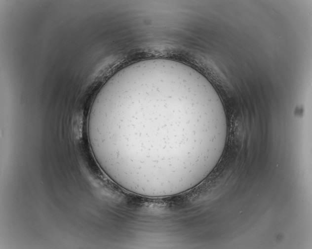 X0000097620694200803142002