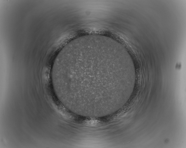 X0000097620695200803142002