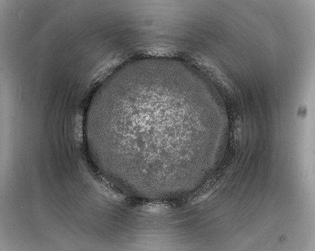 X0000097620696200803142002