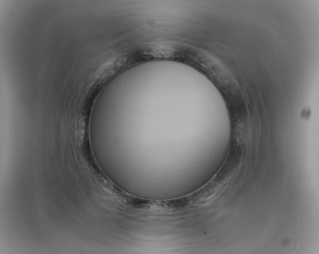 X0000097620697200803142002