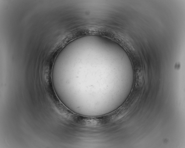 X0000097620698200803142002
