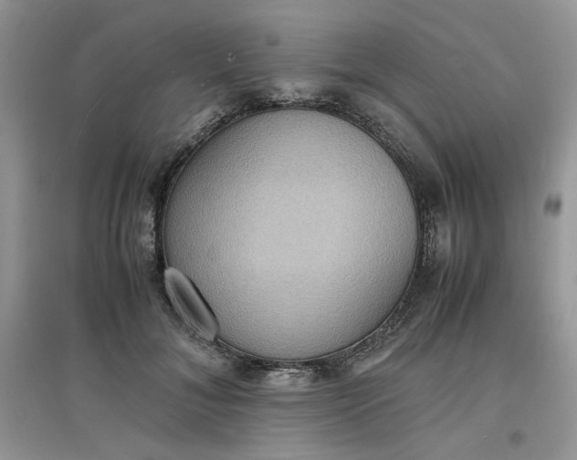 X0000097620700200803142002
