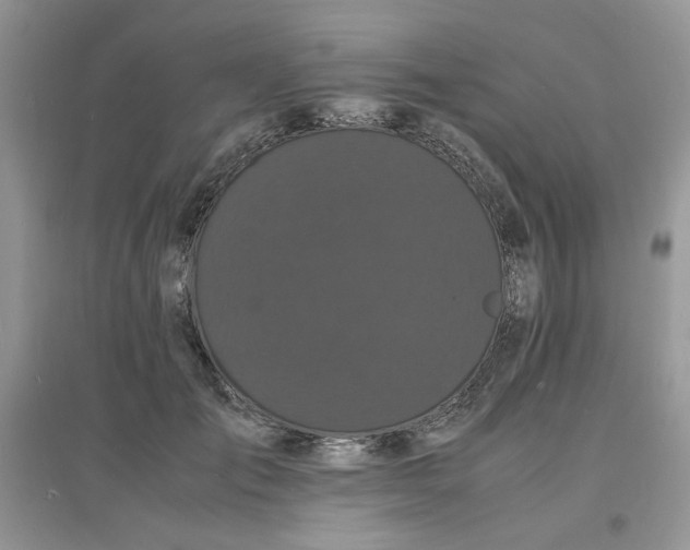 X0000097620701200803142002