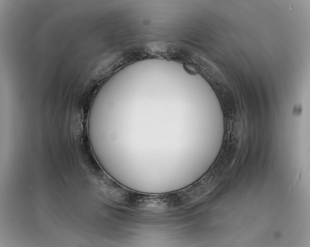 X0000097620702200803142002