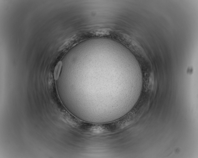 X0000097620704200803142002
