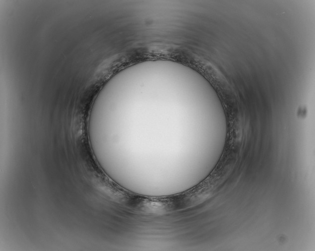X0000097620706200803142002