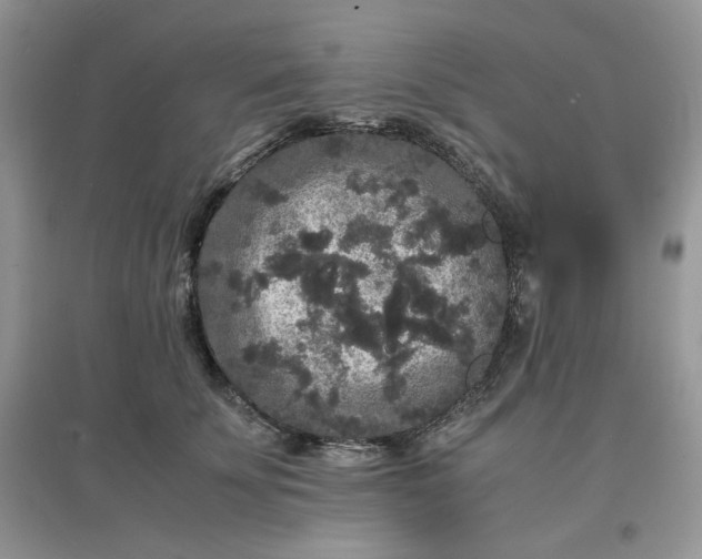 X0000097620707200803142002