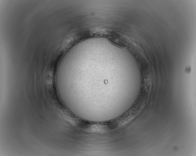 X0000097620708200803142002