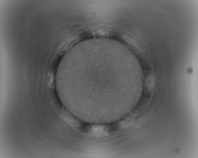 X0000097620709200803142002