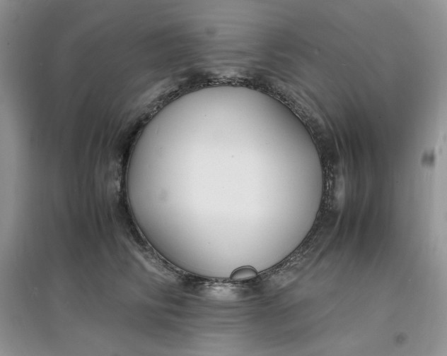 X0000097620710200803142002
