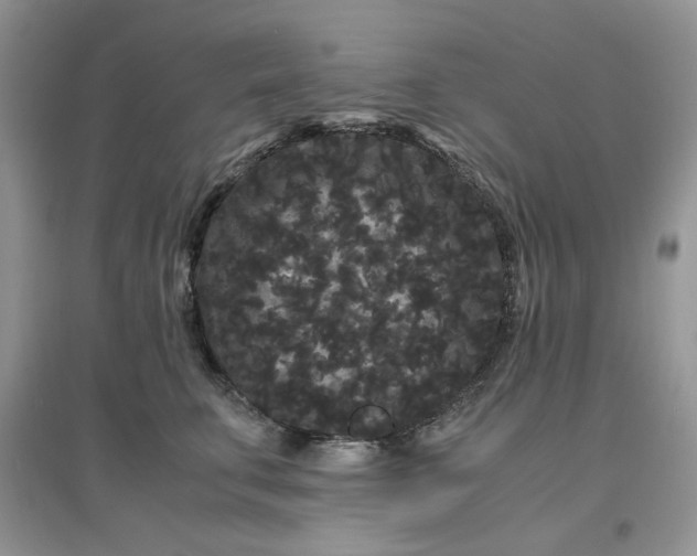 X0000097620711200803142002