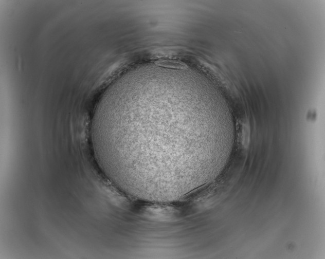X0000097620712200803142002