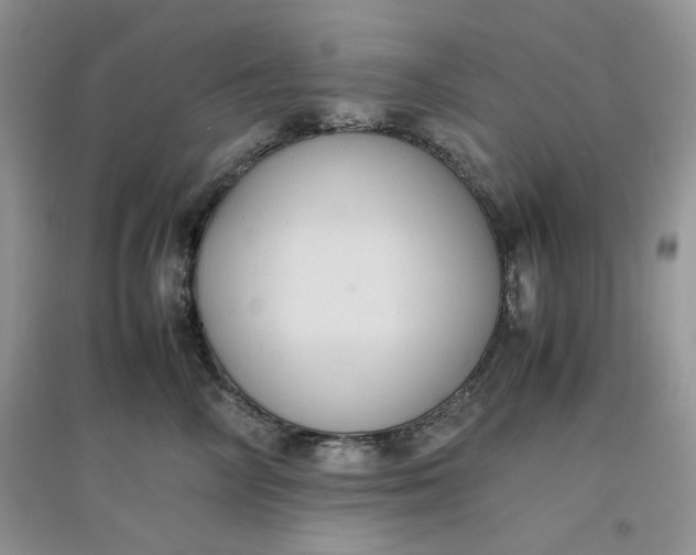 X0000097620714200803142002