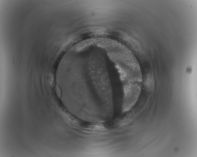 X0000097620715200803142002