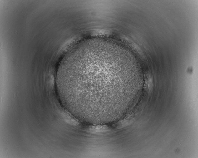 X0000097620716200803142002