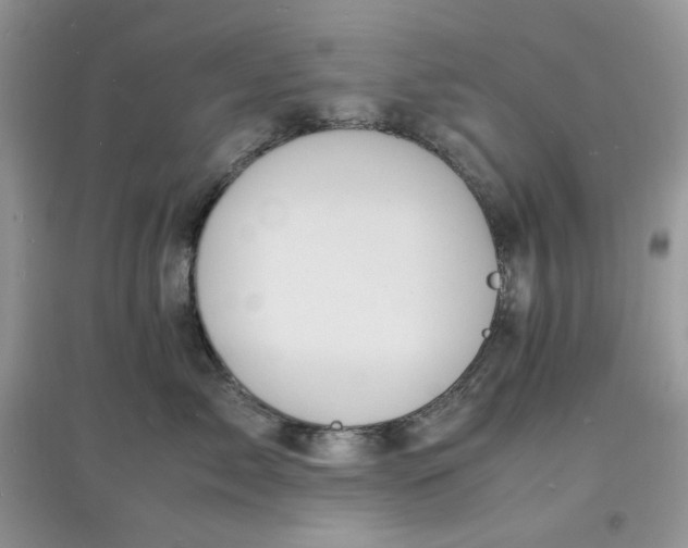 X0000097620717200803142002