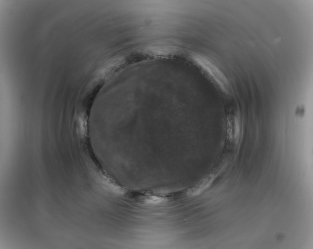 X0000097620718200803142002