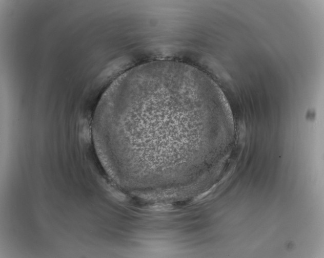 X0000097620719200803142002
