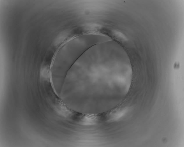 X0000097620720200803142002
