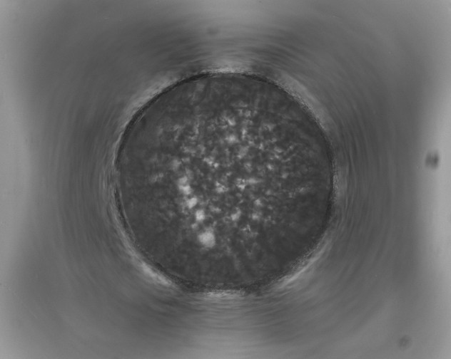 X0000097620721200803142001