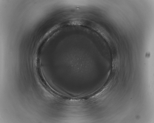 X0000097620722200803142001