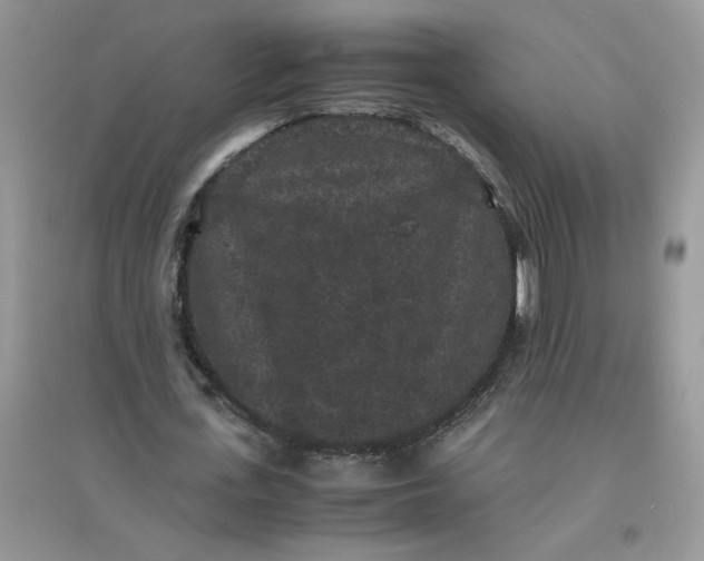 X0000097620723200803142001