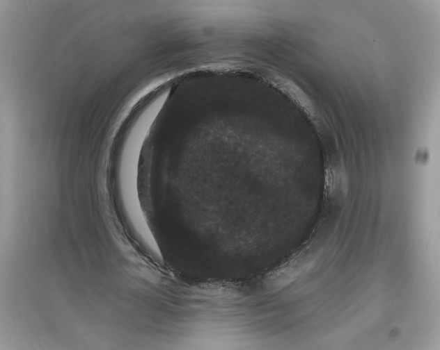X0000097620724200803142001