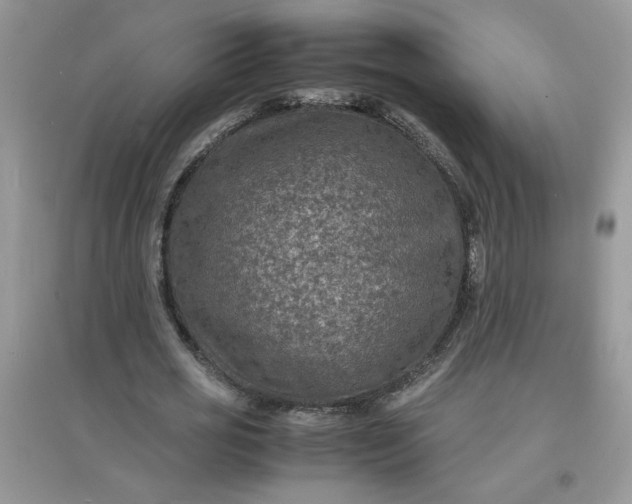 X0000097620725200803142001