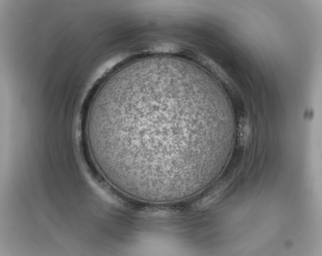 X0000097620726200803142001