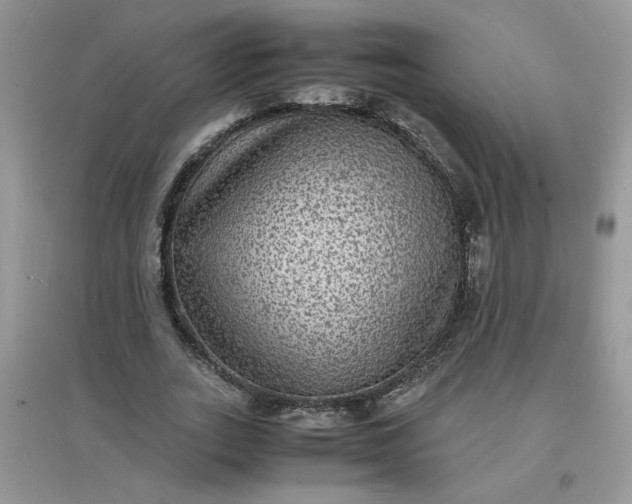 X0000097620727200803142001