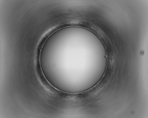 X0000097620728200803142001