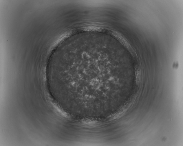 X0000097620729200803142001