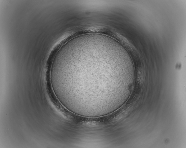 X0000097620730200803142001