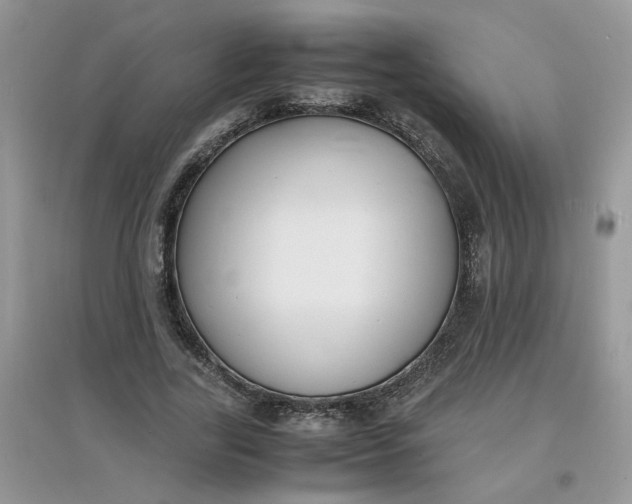 X0000097620731200803142001