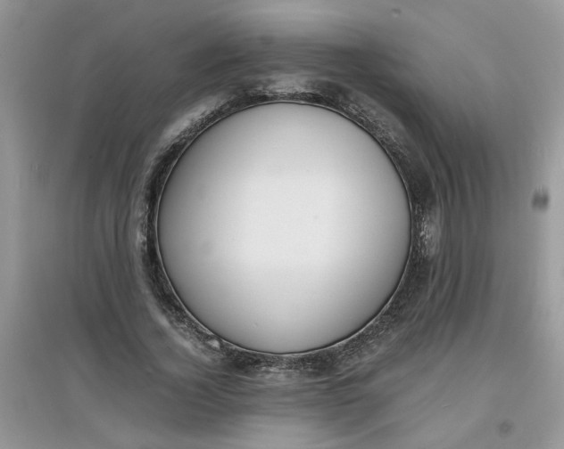 X0000097620732200803142001