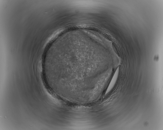 X0000097620734200803142001